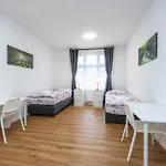 Ripska Apartamento